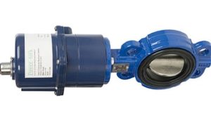 pneumatic butterfly valve