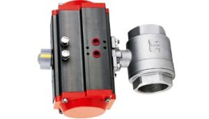 pneumatic rotary actuator